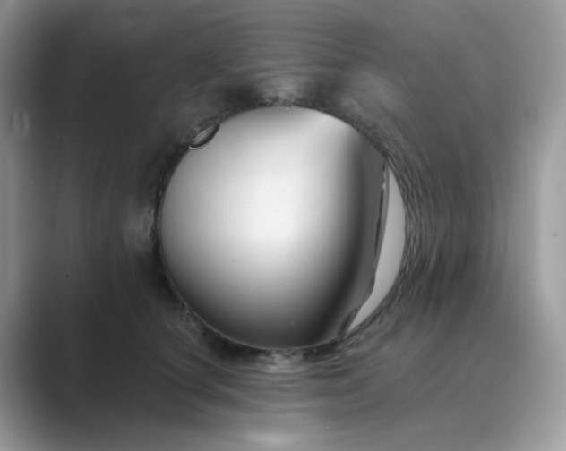 X0000089680660200707051607