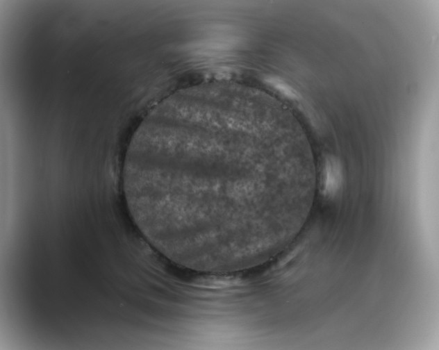 X0000089680661200707051607