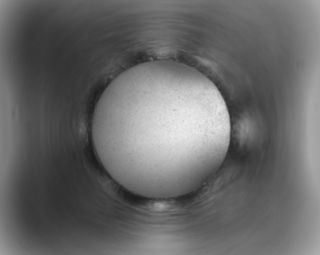 X0000089680662200707051607