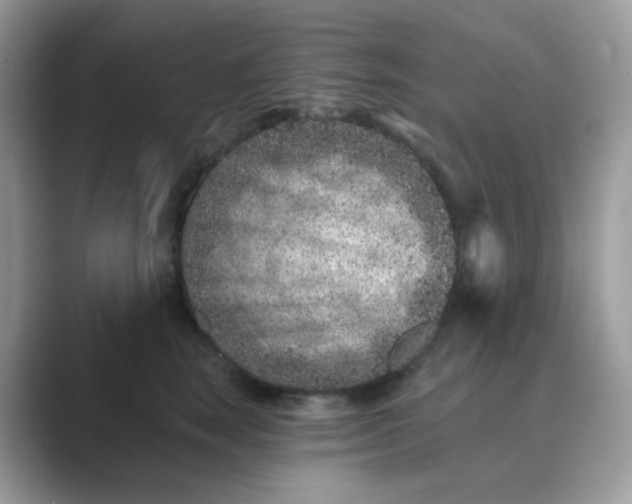 X0000089680663200707051607