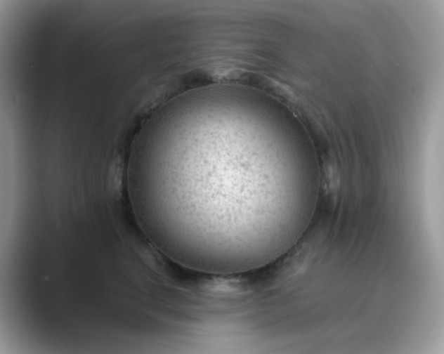 X0000089680664200707051607