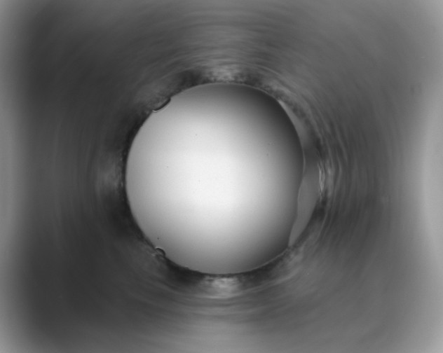 X0000089680665200707051607