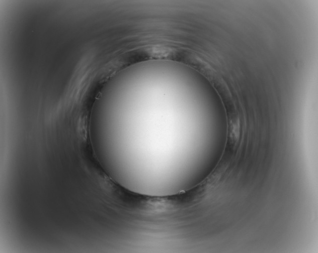 X0000089680666200707051607