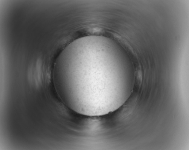 X0000089680668200707051607