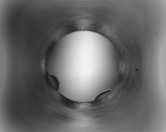 X0000089680670200707051607