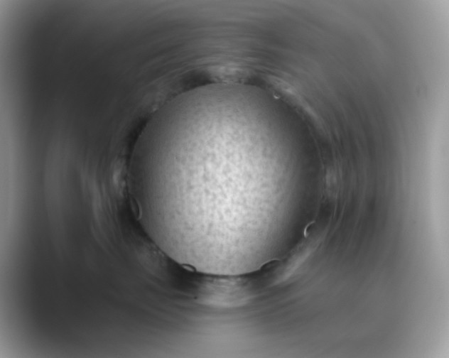 X0000089680671200707051607
