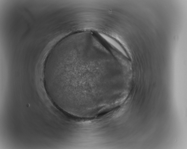 X0000089680673200707051607