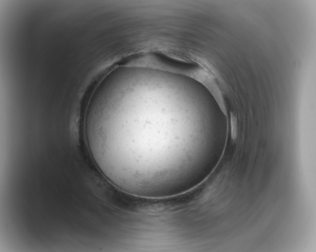 X0000089680675200707051607
