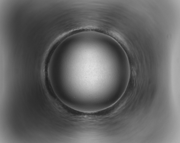 X0000089680676200707051607
