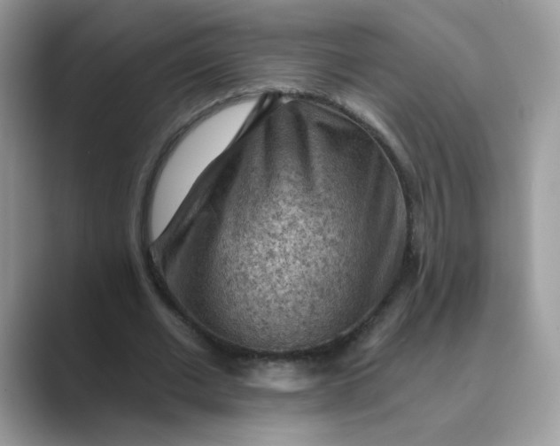 X0000089680677200707051607