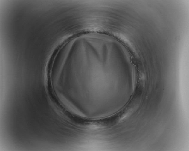 X0000089680678200707051607