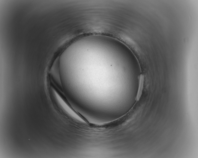 X0000089680680200707051607