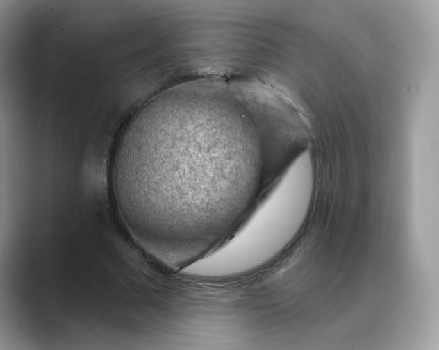 X0000089680681200707051607