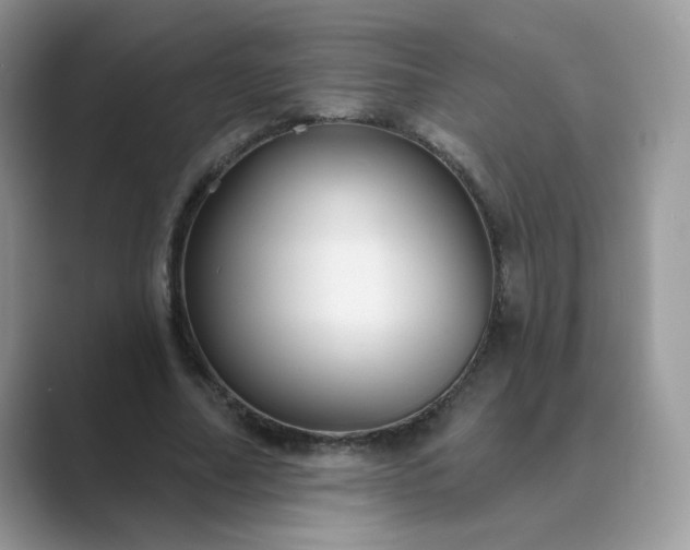 X0000089680682200707051607