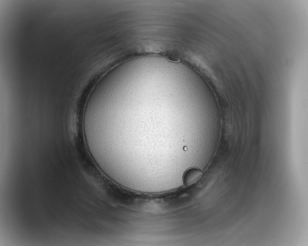 X0000089680683200707051607