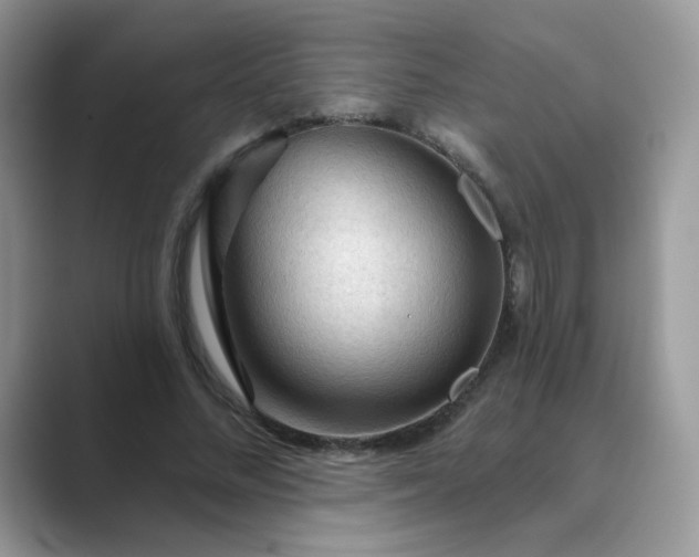 X0000089680684200707051607