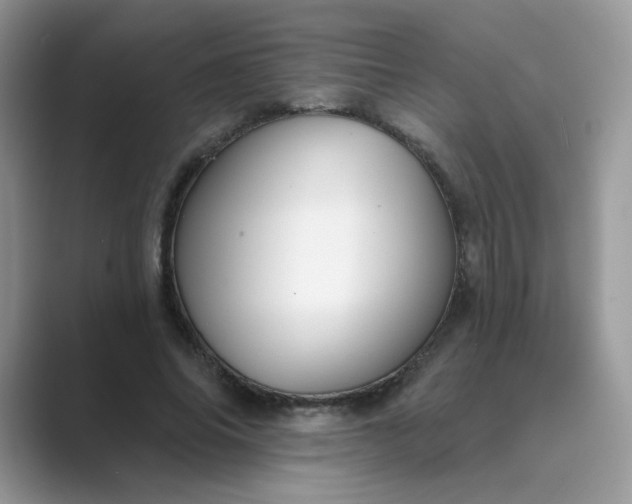X0000089680686200707051607