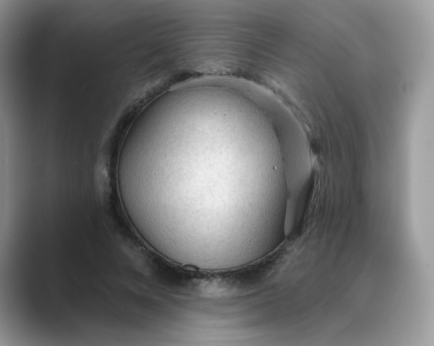 X0000089680688200707051607