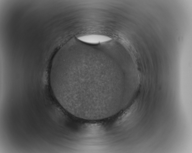 X0000089680689200707051607