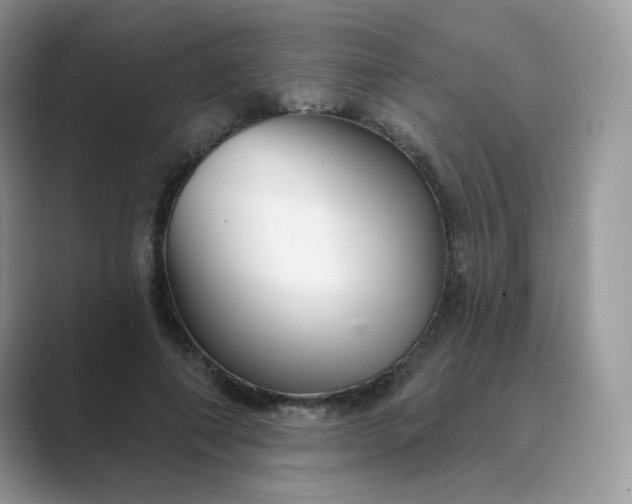 X0000089680690200707051607