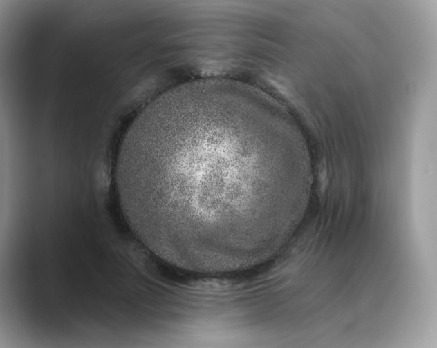 X0000089680691200707051607