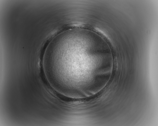 X0000089680692200707051607