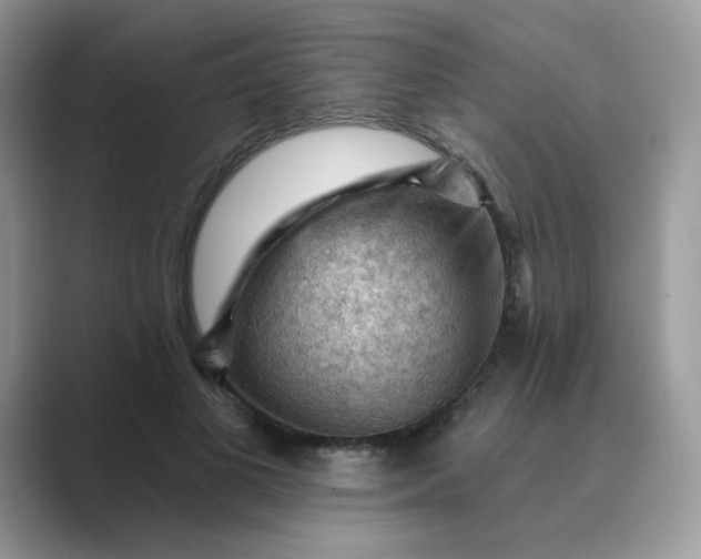 X0000089680693200707051607