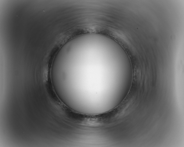 X0000089680694200707051607
