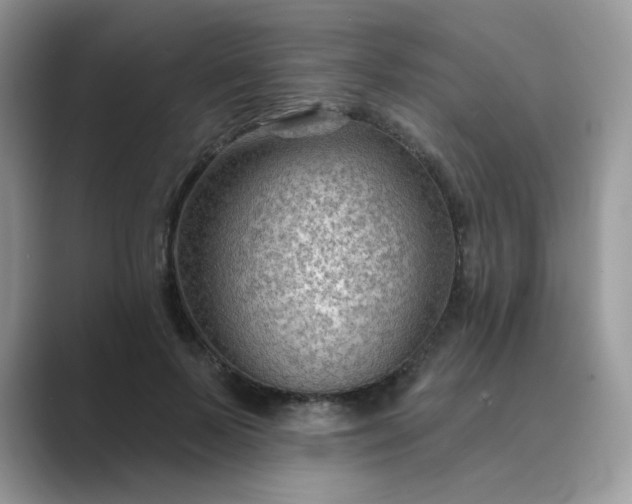 X0000089680695200707051607