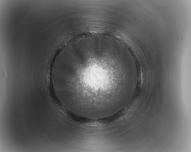 X0000089680696200707051607