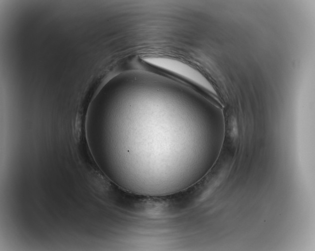 X0000089680697200707051607