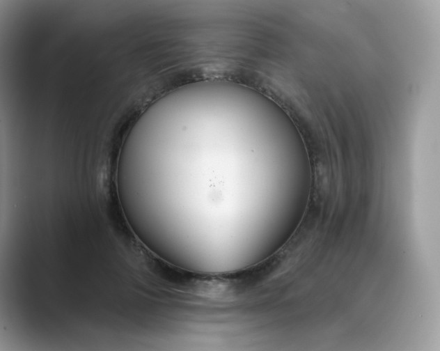 X0000089680698200707051607