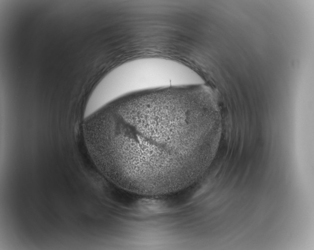 X0000089680699200707051607