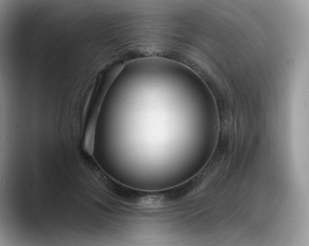 X0000089680700200707051607