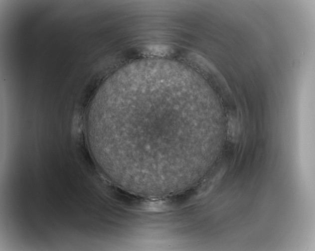 X0000089680701200707051607