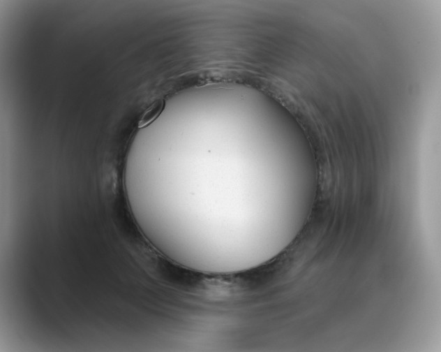 X0000089680703200707051607