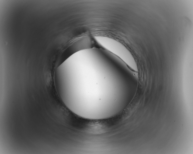 X0000089680704200707051607