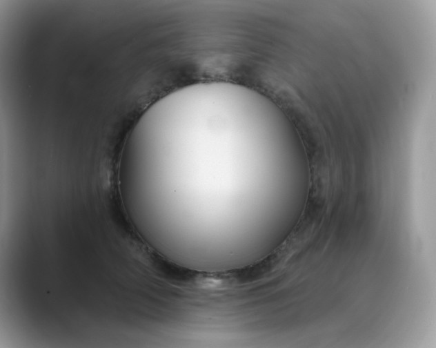 X0000089680706200707051606