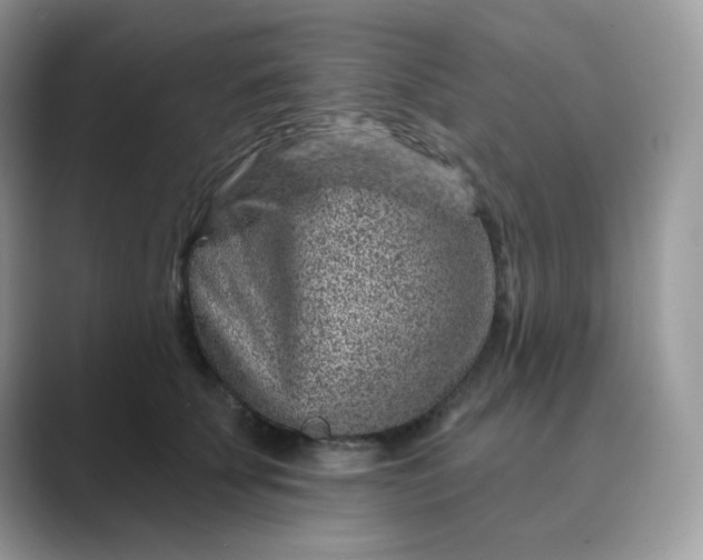 X0000089680707200707051606