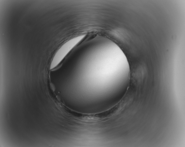 X0000089680708200707051606