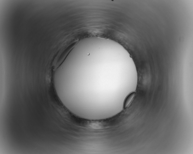 X0000089680710200707051606