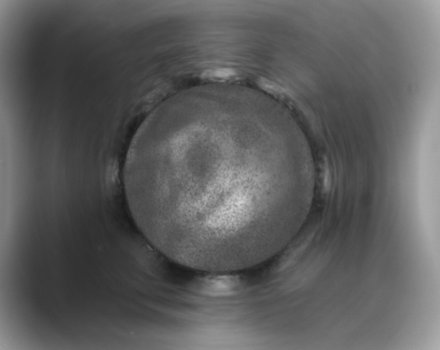 X0000089680711200707051606