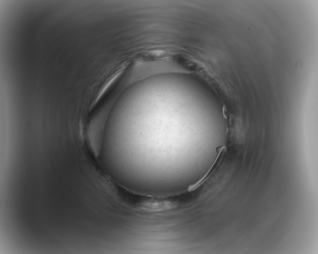 X0000089680712200707051606