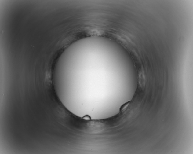 X0000089680714200707051606