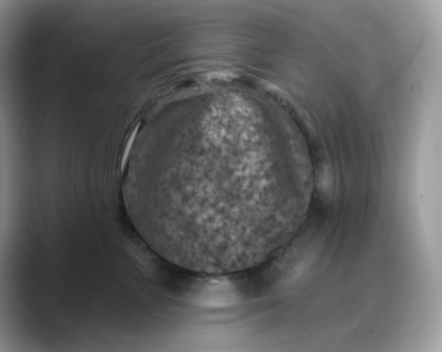 X0000089680715200707051606