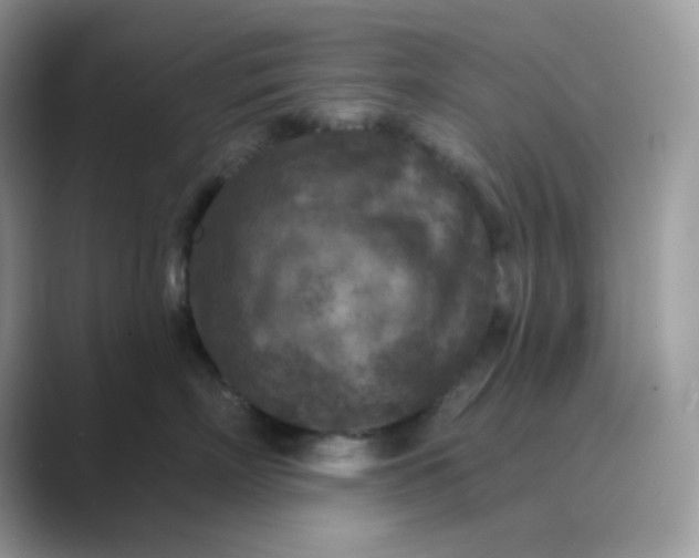 X0000089680718200707051606