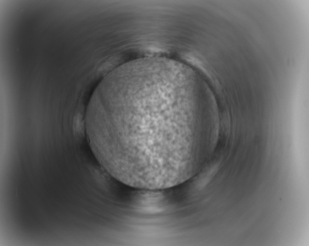 X0000089680719200707051606