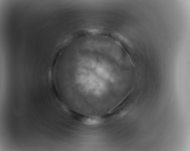 X0000089680720200707051606