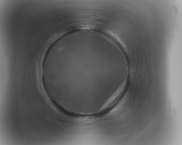 X0000089680721200707051606