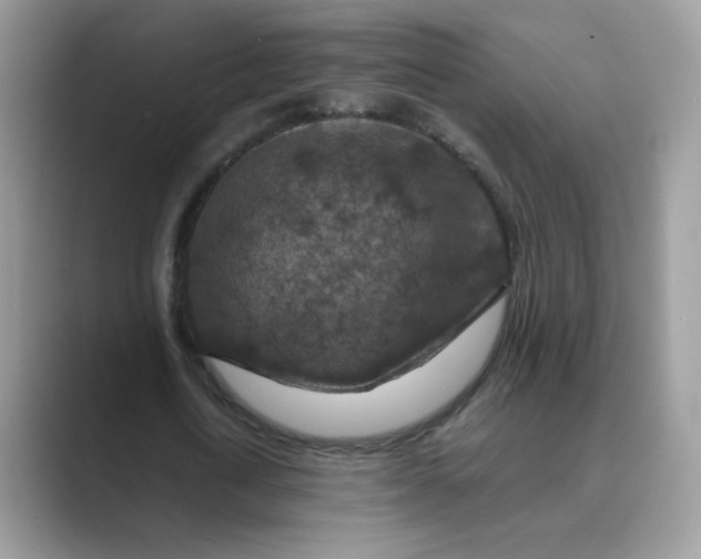 X0000089680722200707051606